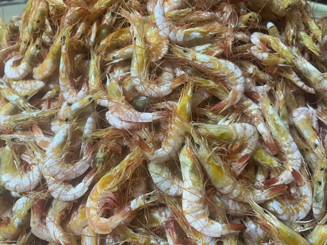 汕尾本港活晒沙卢虾干鲜甜无沙补钙干度好