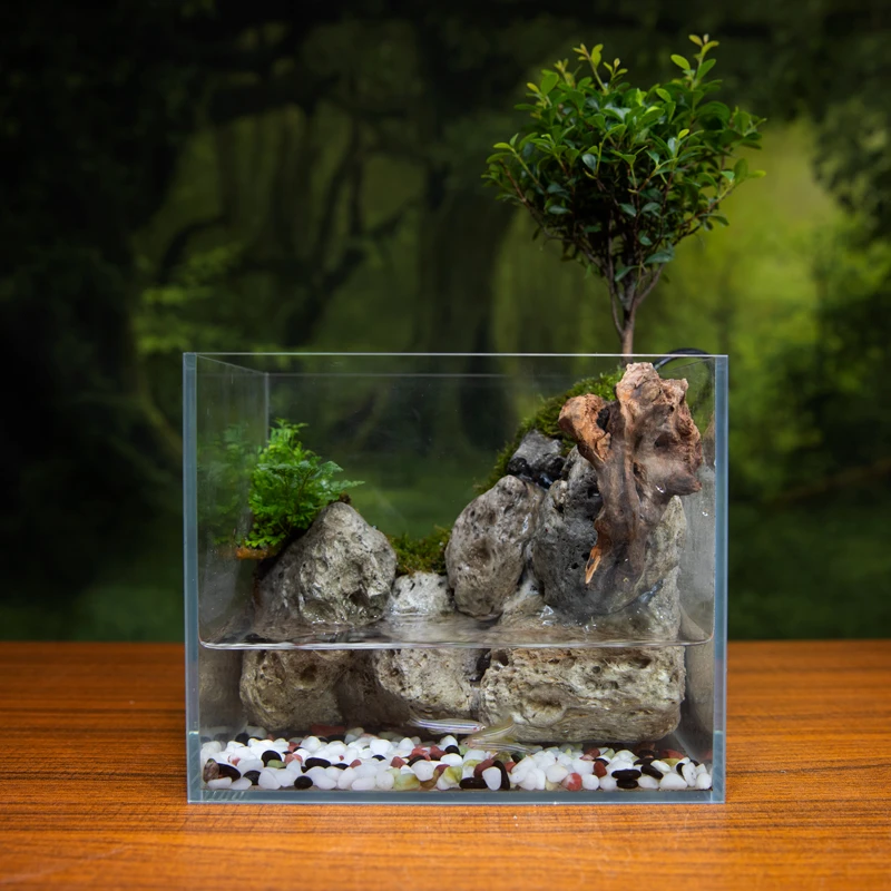 【湖光山色】精致流水水陆缸可养鱼养龟养蟹桌面生态景观18*15*14