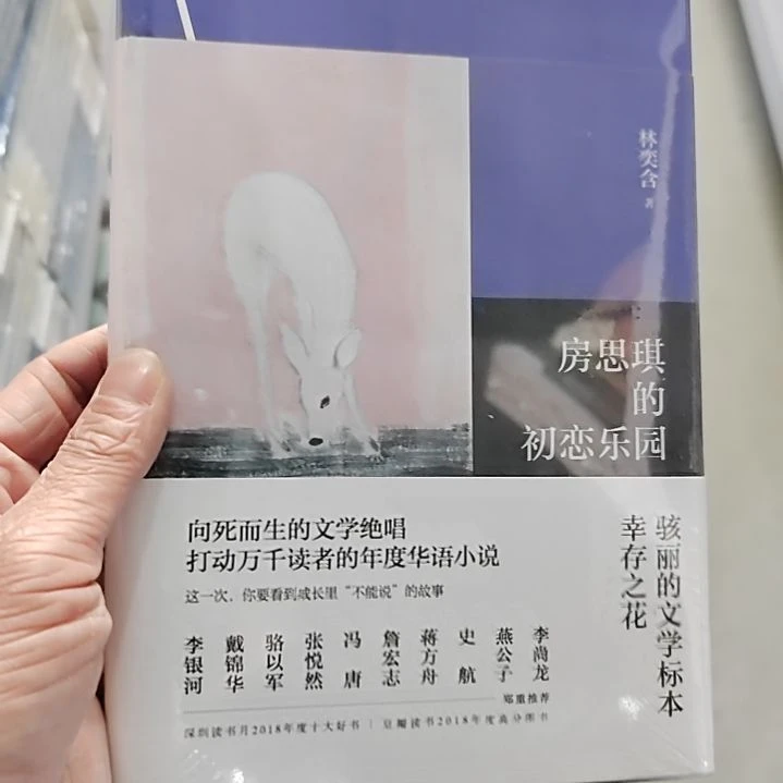 汪思琪的初恋乐园