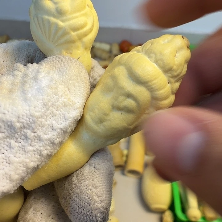 清***酒谢谢谢谢谢谢谢谢谢谢