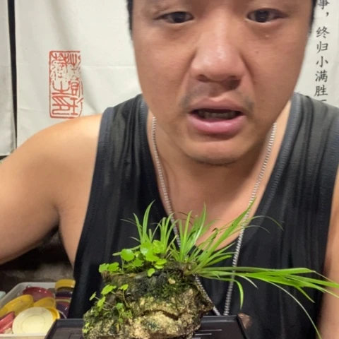 一物一拍所见即所得153