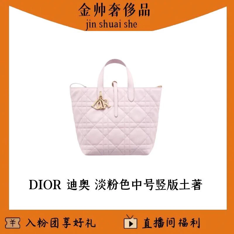 99新 DIOR/迪奥 新款toujours/中号淡粉色/土著/中号/竖版/B6404