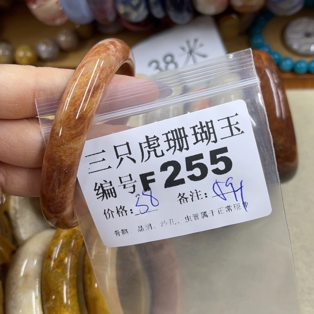 西***空未镶嵌h硅化珊瑚（珊瑚玉）