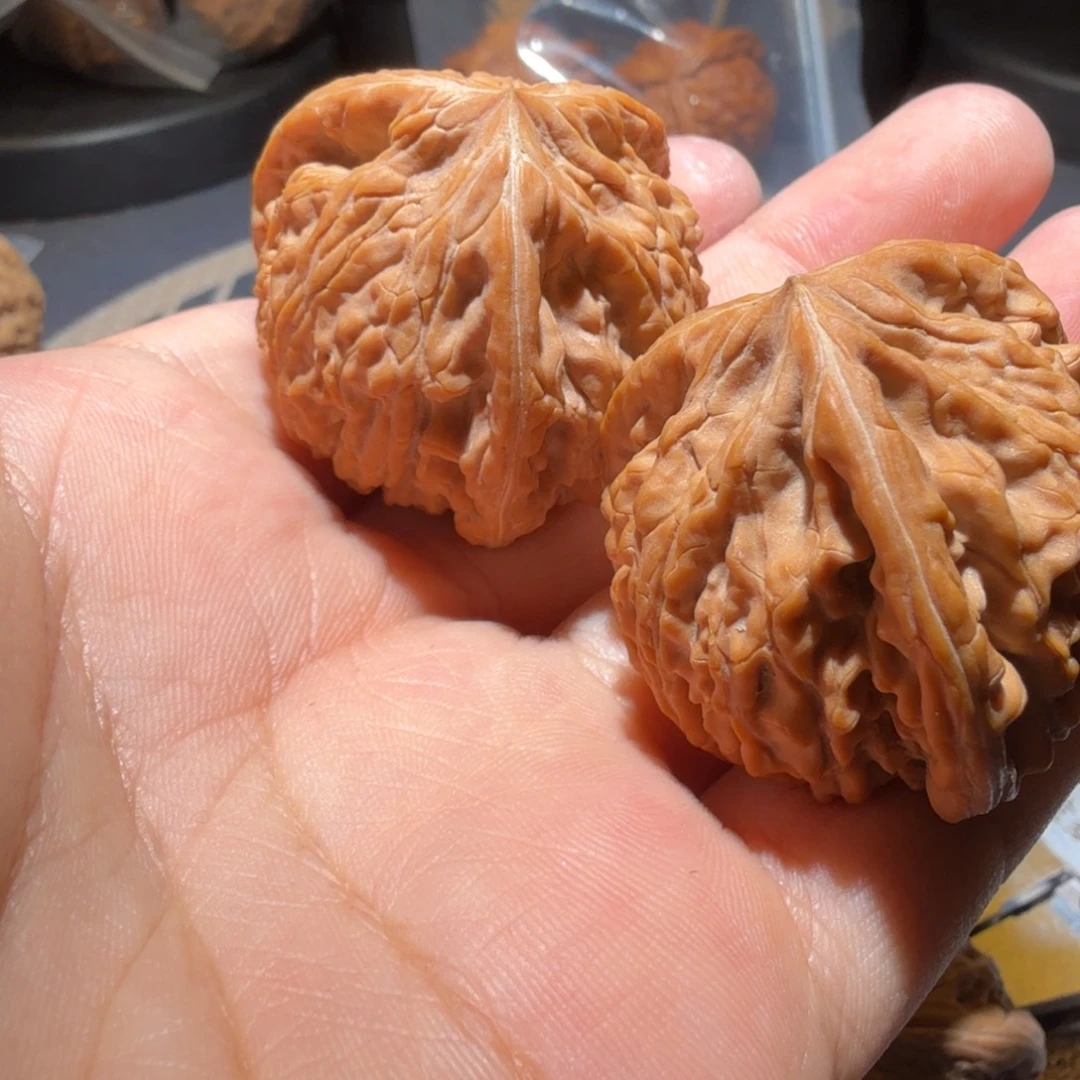 灬***彦把件猴头核桃御龙正奔