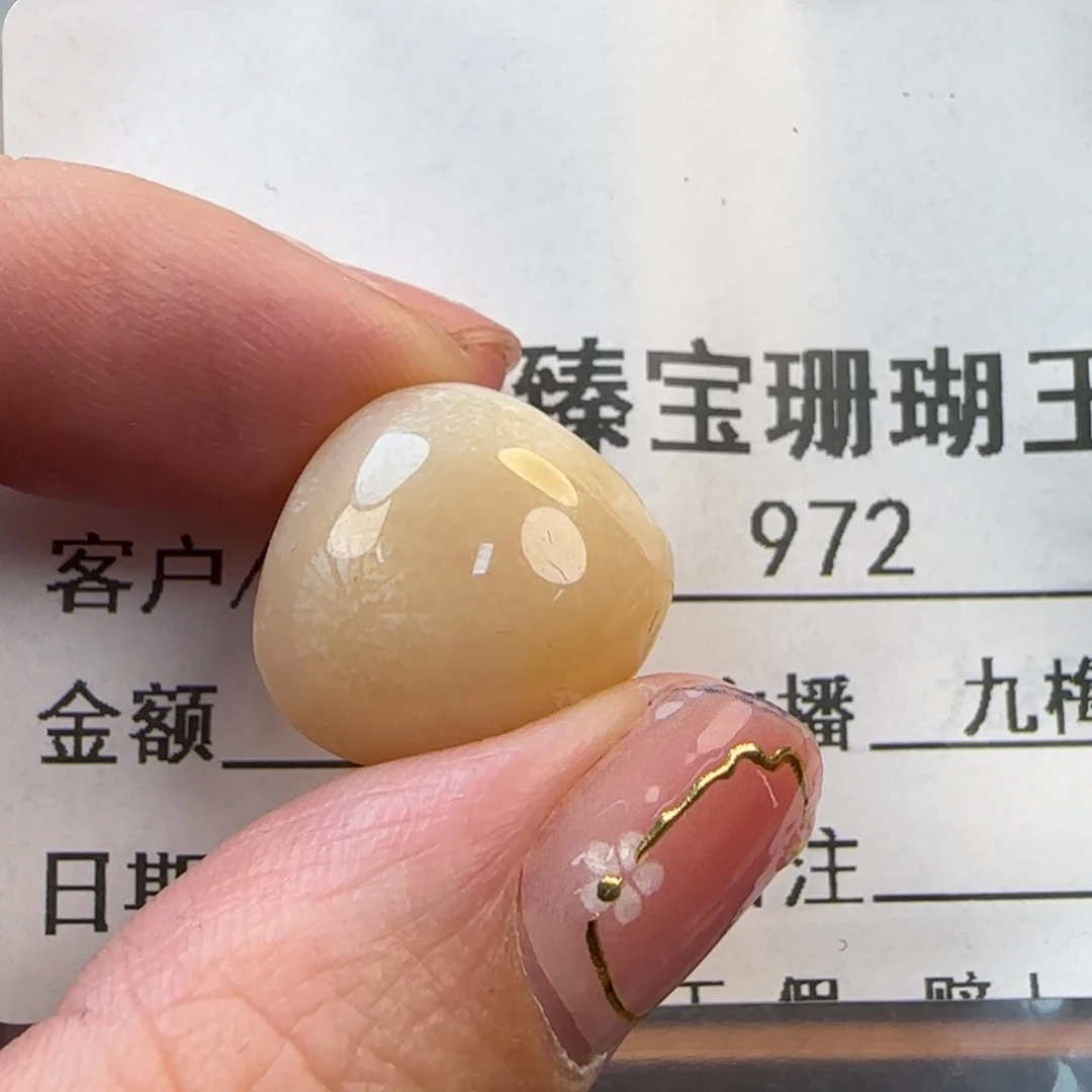 硅化珊瑚（珊瑚玉）未镶嵌颈饰