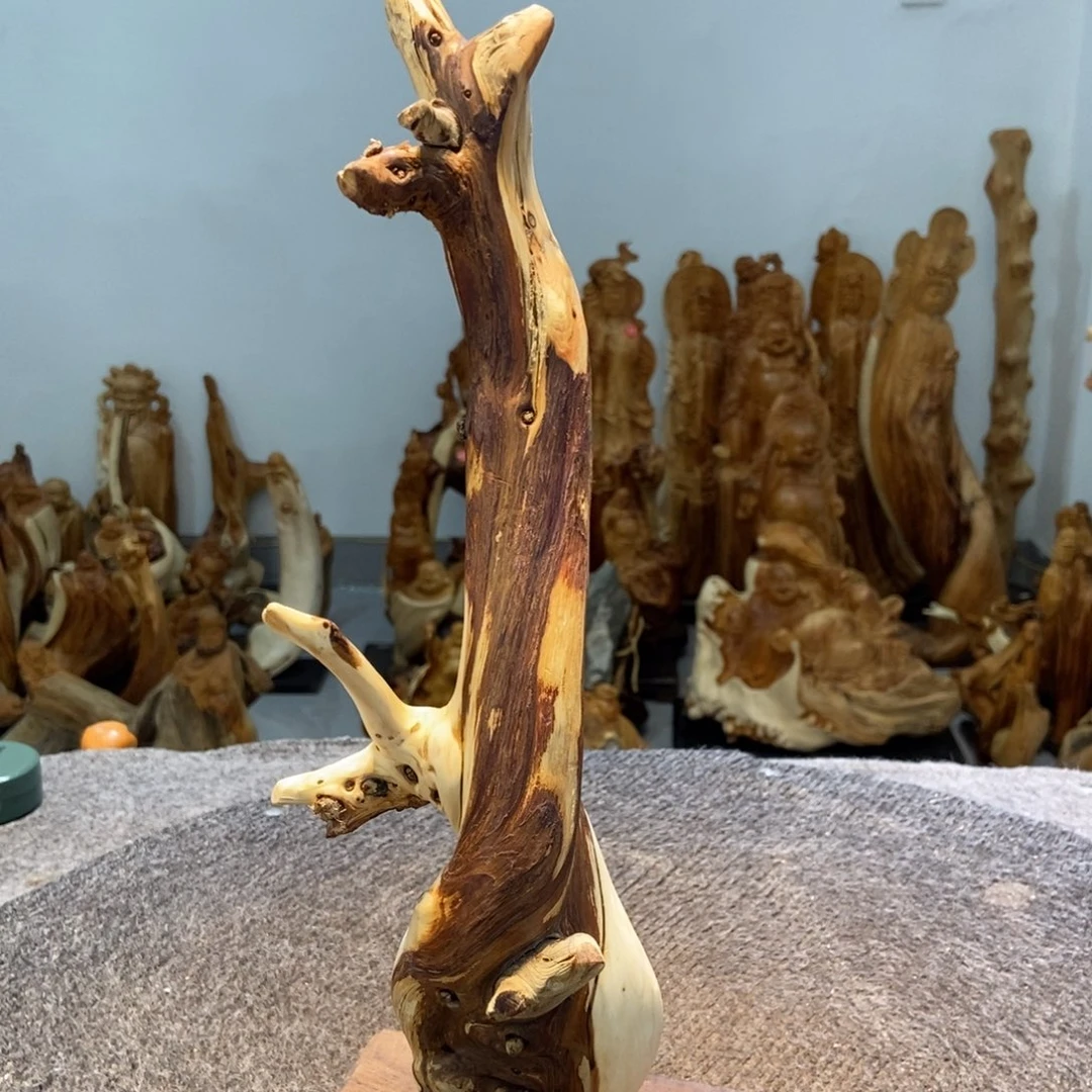 柏木（崖柏）进来点点关注哦