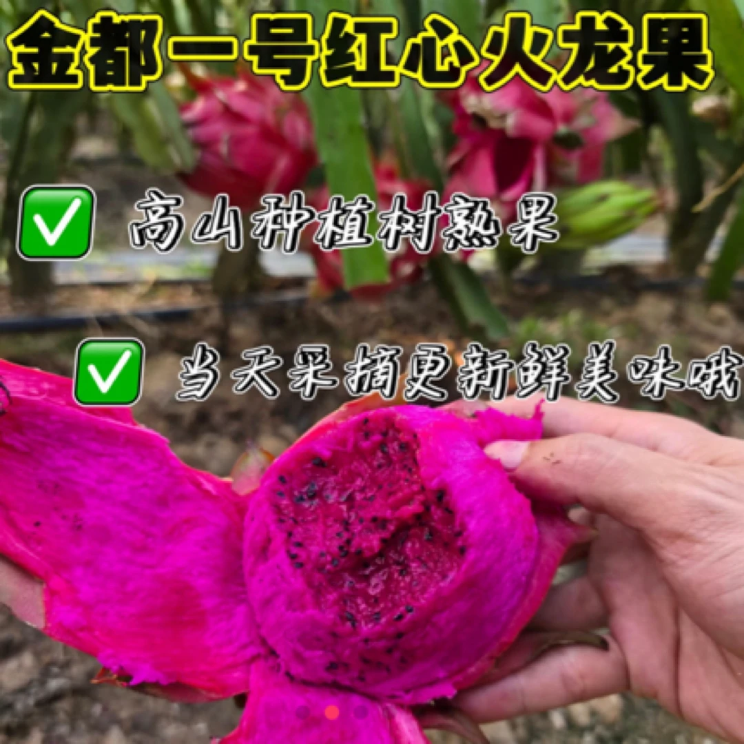 正宗红心火龙果金都一号饱满皮薄鲜甜美味整箱包邮