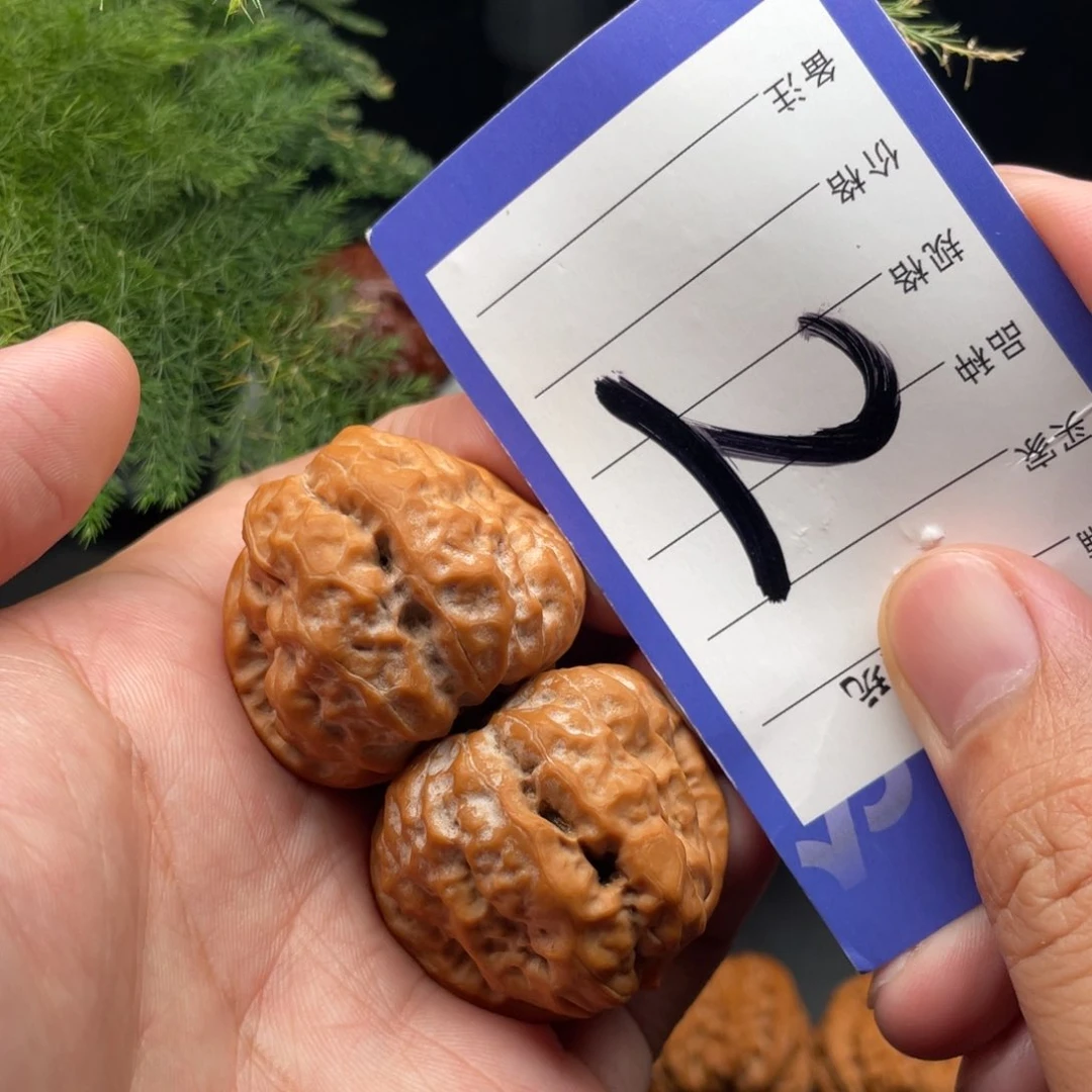文玩核桃把件蛤蟆头37