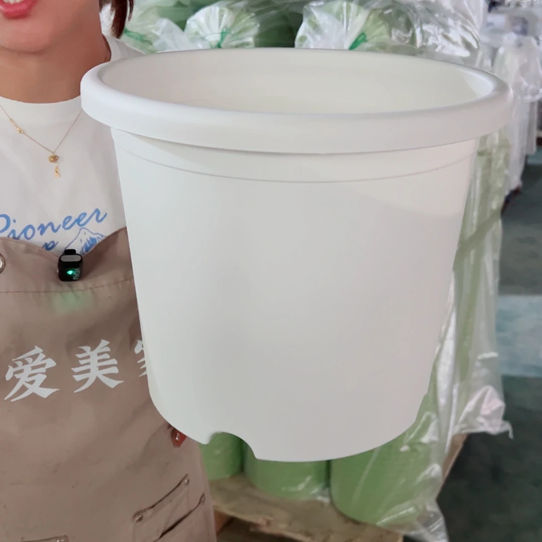 四季盆6#白色5个无托