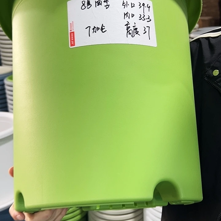 特价8号四季口39.4高37果绿无托3只