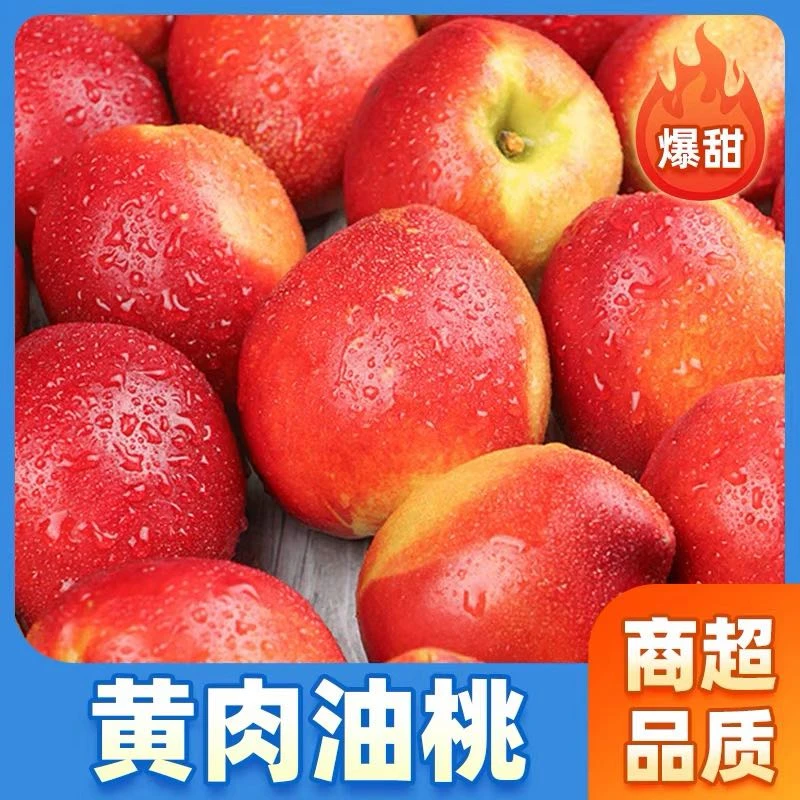 黄心油桃新鲜当季水果黄肉脆甜多汁孕妇可食