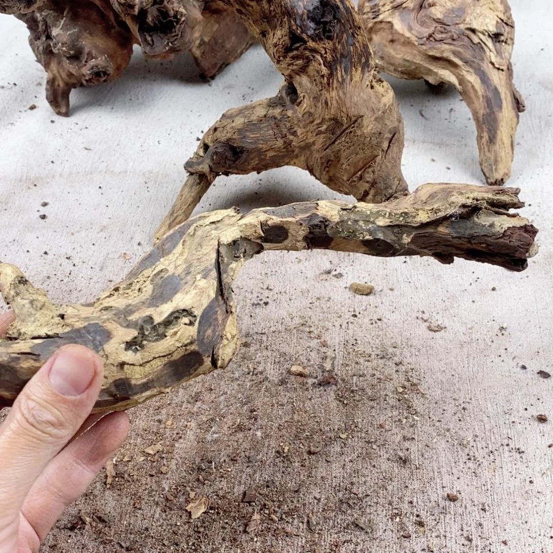 黄花梨/降香黄檀惠**香