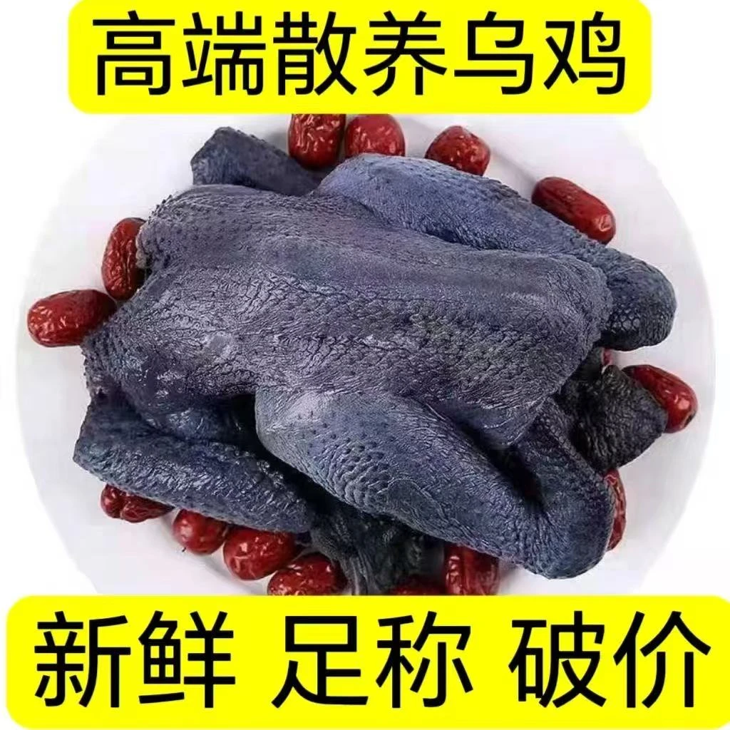 【三只乌鸡】农家散养白凤乌骨鸡新鲜现杀整只生鲜煲汤滋补月子鸡F