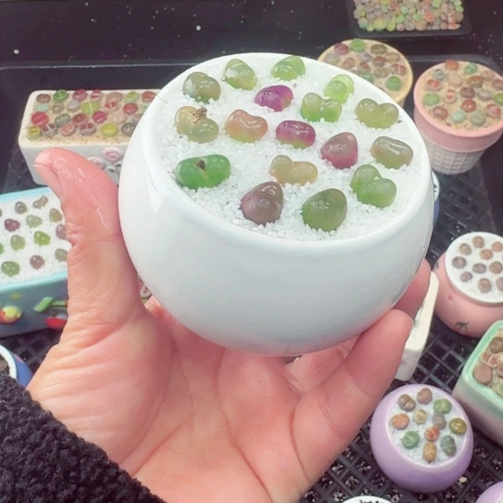 635零下地区记得拍保温箱满18包邮