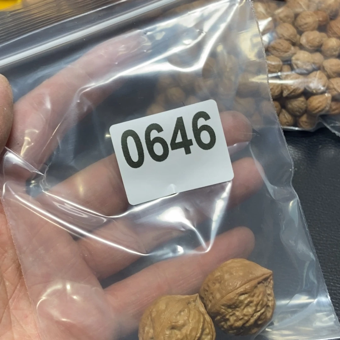 文玩核桃吊坠糖*丶秋子