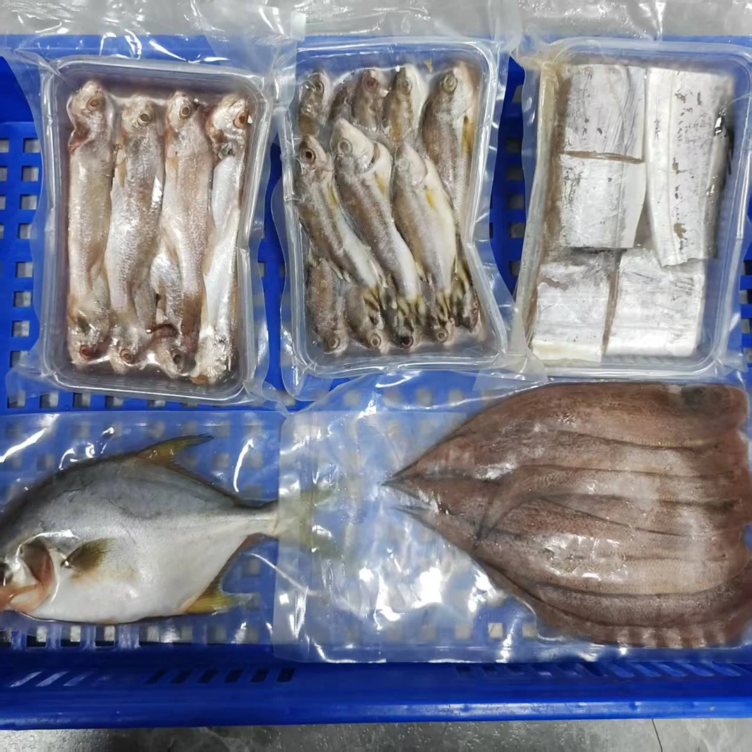 浅海鱼类组合套餐124