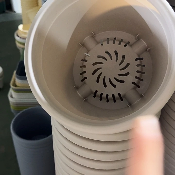 四季3号灰白无托10个特价