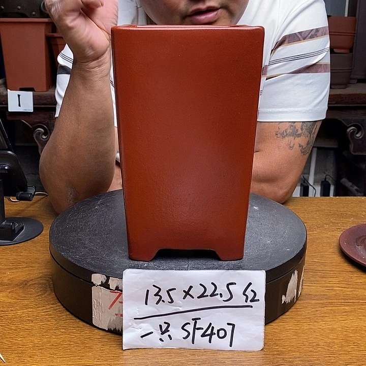 紫砂货号一只SF407