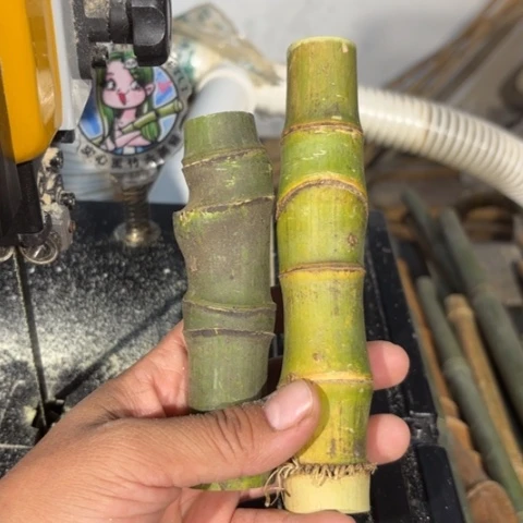 *****竹竹竹竹竹竹竹竹竹竹