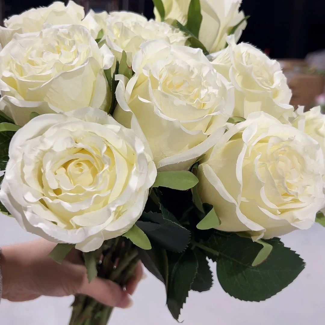 10枝白色洛神玫瑰花。