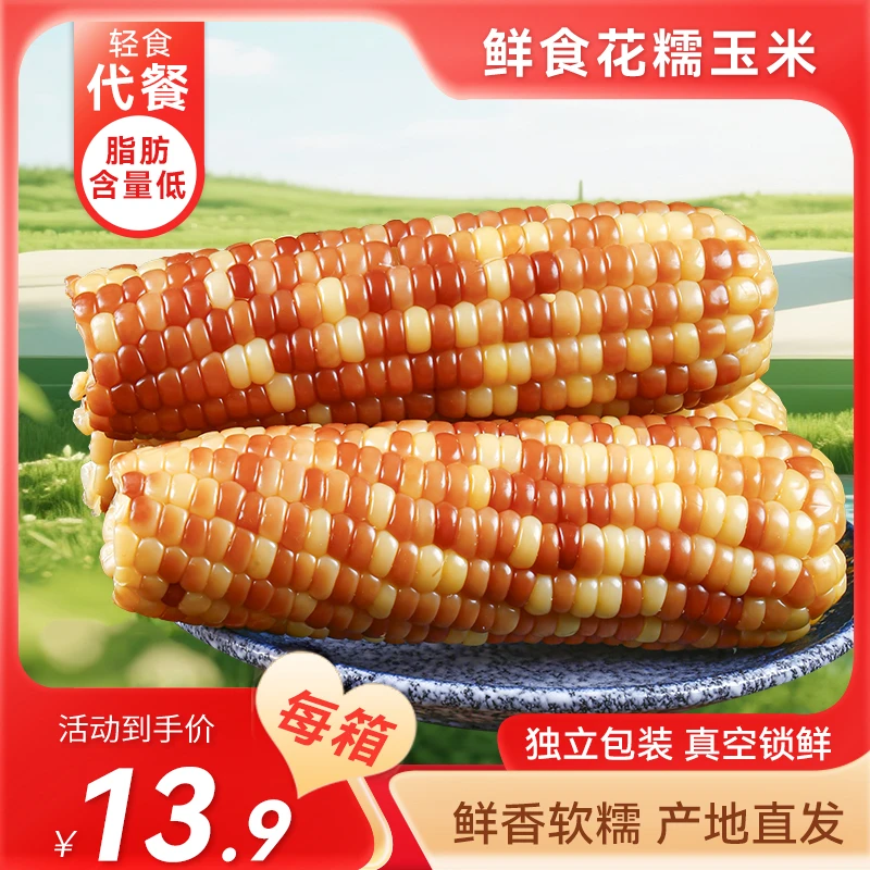 【买10根送2根到手12根】内蒙花糯玉米软糯香甜真空锁鲜净重5.5-6斤