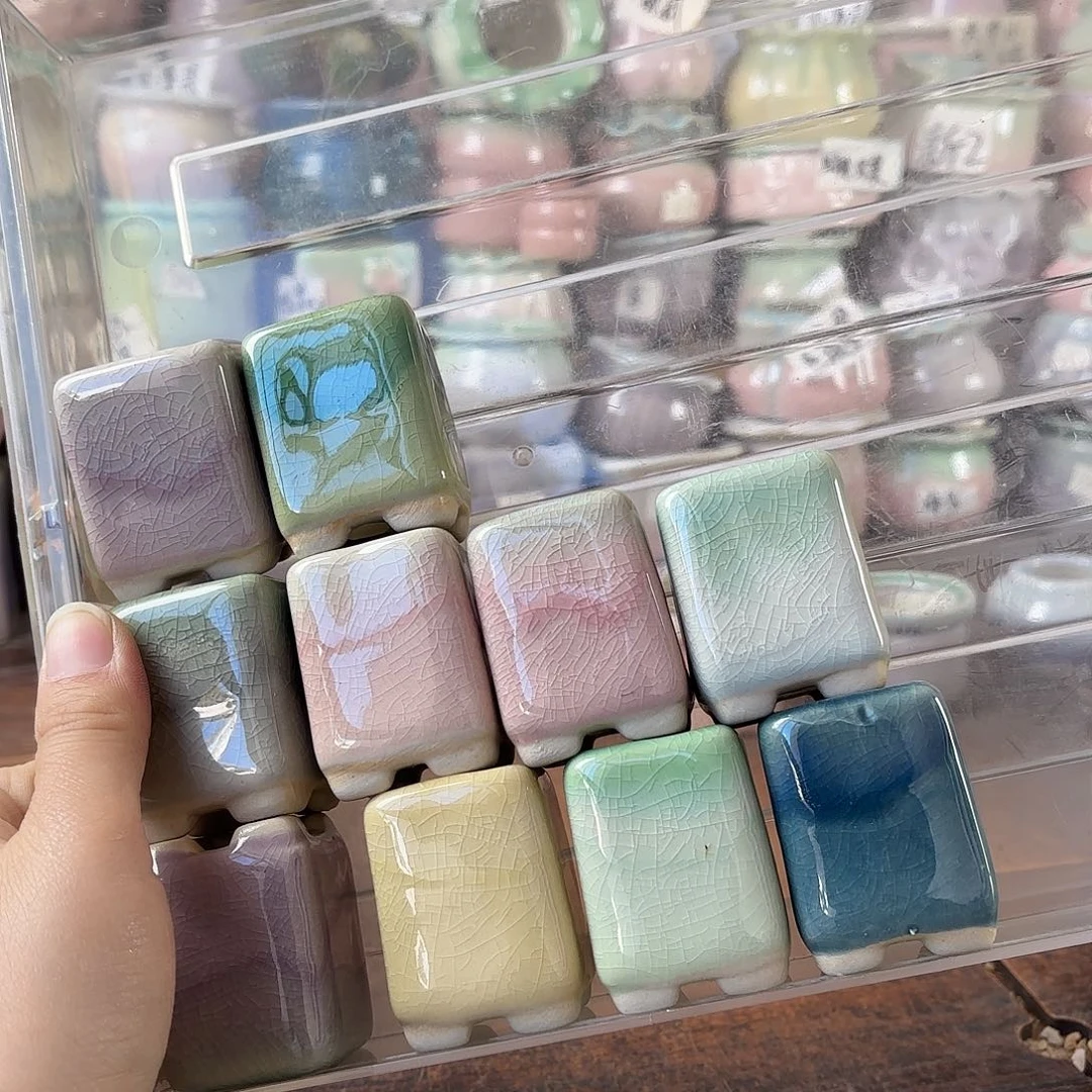 量货/2.5口高4.5深浅搭配发12