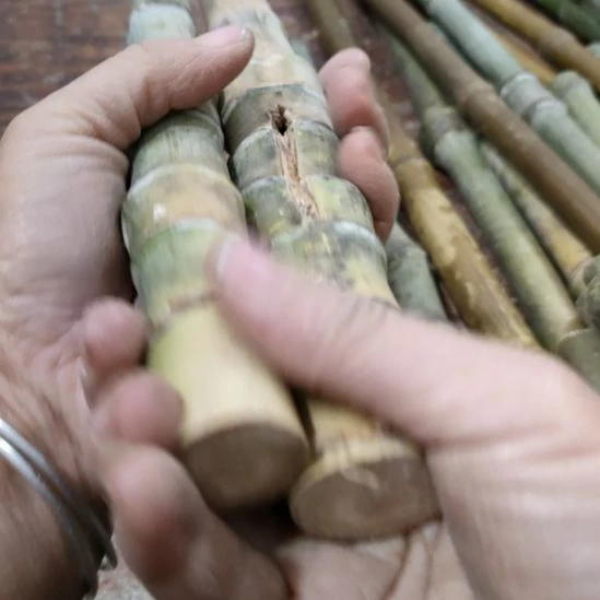 想***实心玉竹手把件金条料