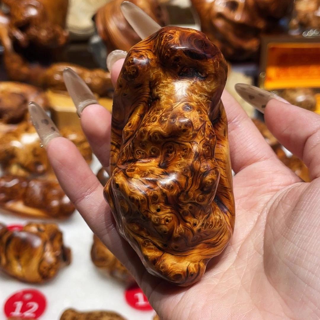 柏木（崖柏）太行崖柏