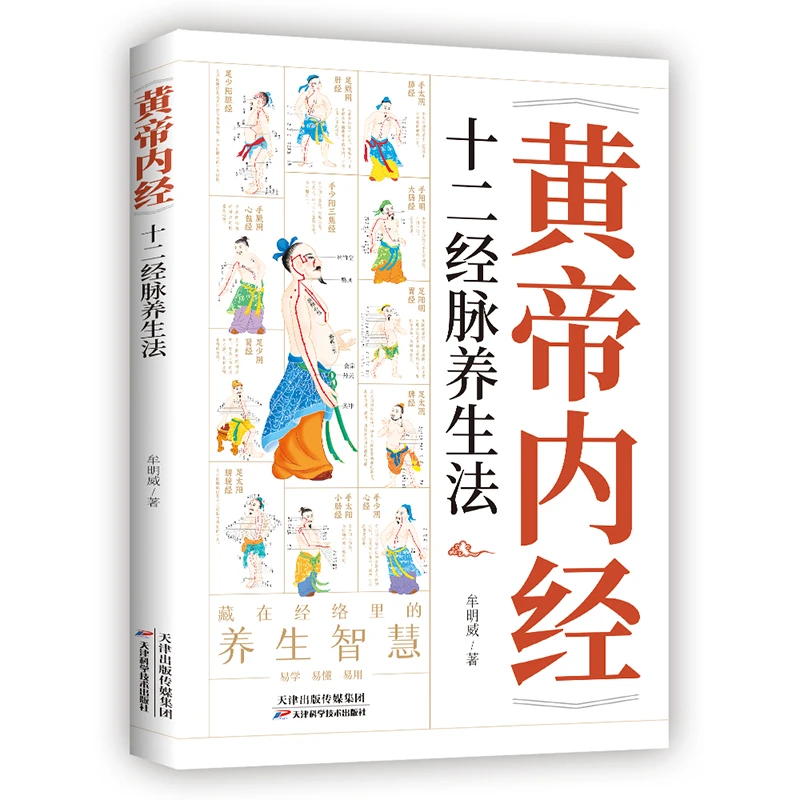 黄帝内经十二经脉养生法领略中医经络养生智慧
