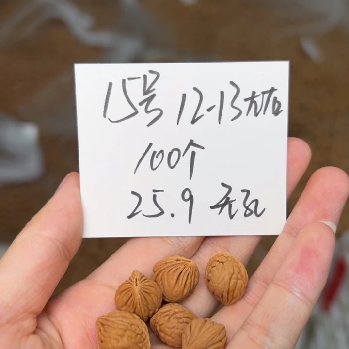 吊坠桃核雕刻料15号