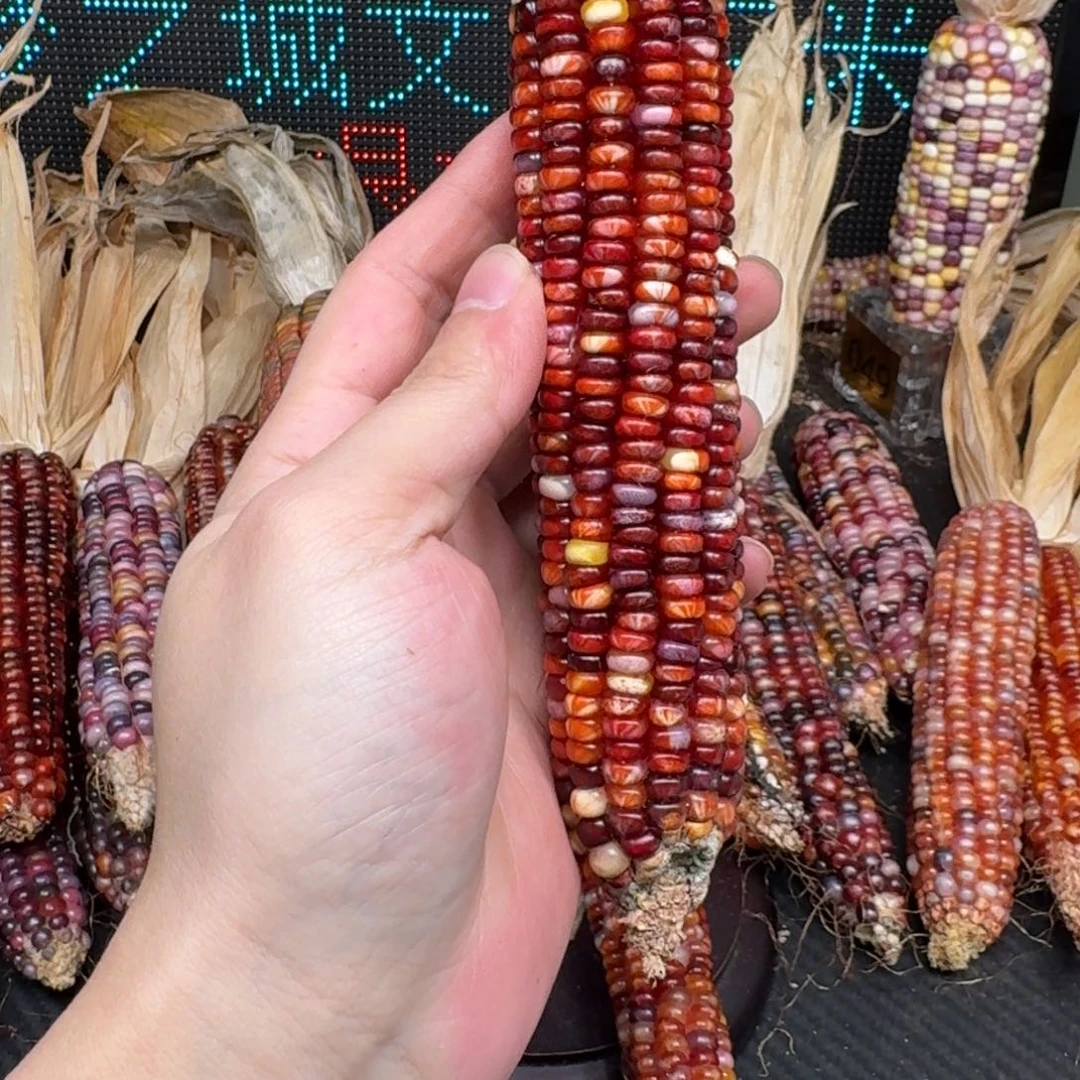 柏香籽/百香籽吊坠?****?