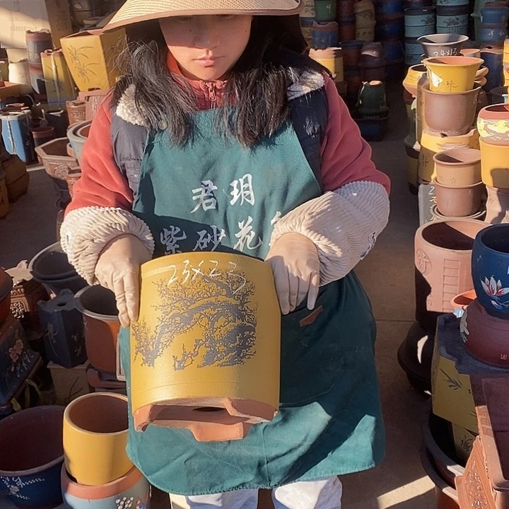 紫砂花盆紫砂花盆