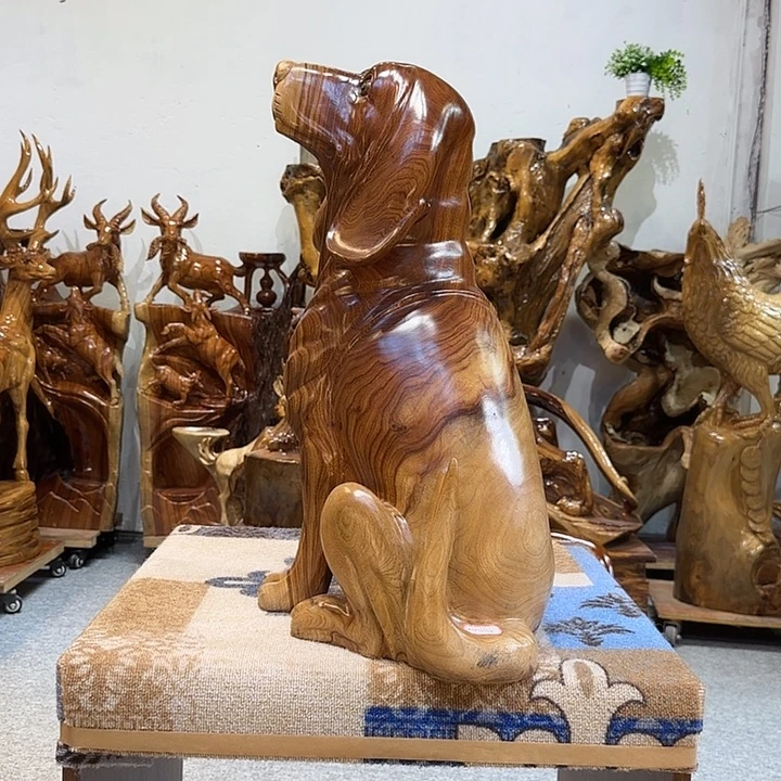 木旺财狗狗！旺旺来财！