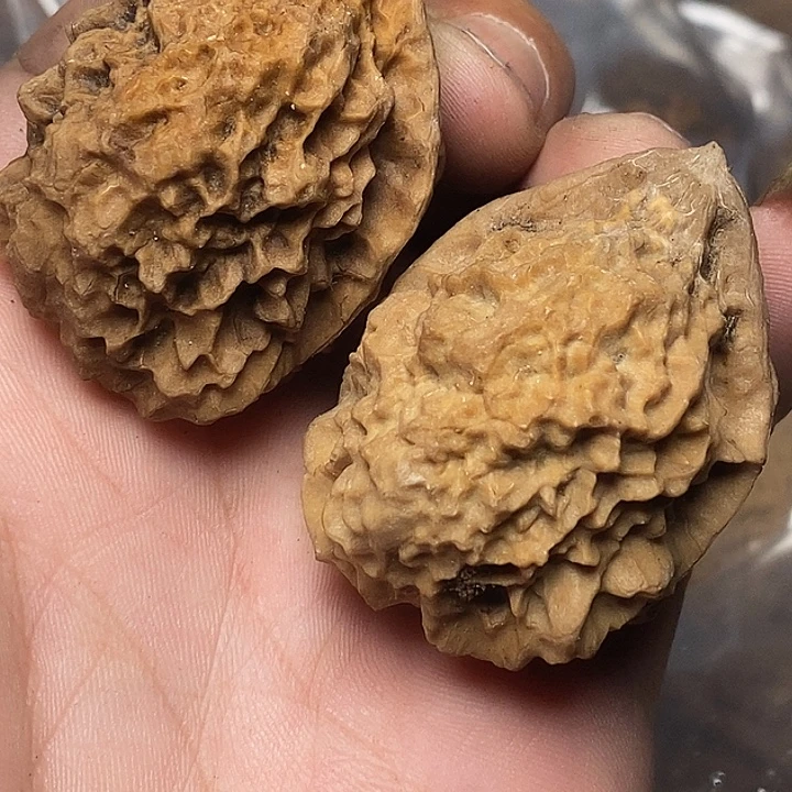 文玩核桃把件云南铁核桃A96