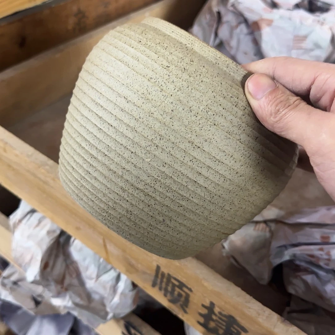 福利局绿植多肉盆［凑9元包邮24小时发］