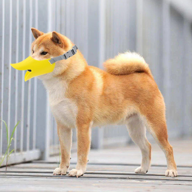 2025年新款宠物鸭嘴套狗嘴套防乱吃乱咬泰迪贵宾宠物嘴套狗狗嘴套