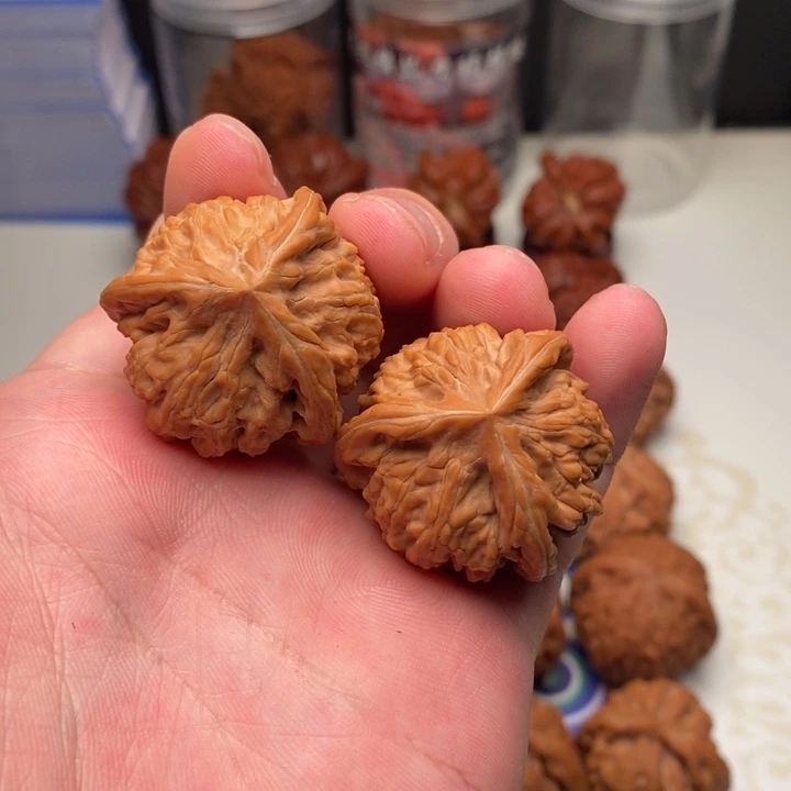 文玩核桃把件33御龙三棱