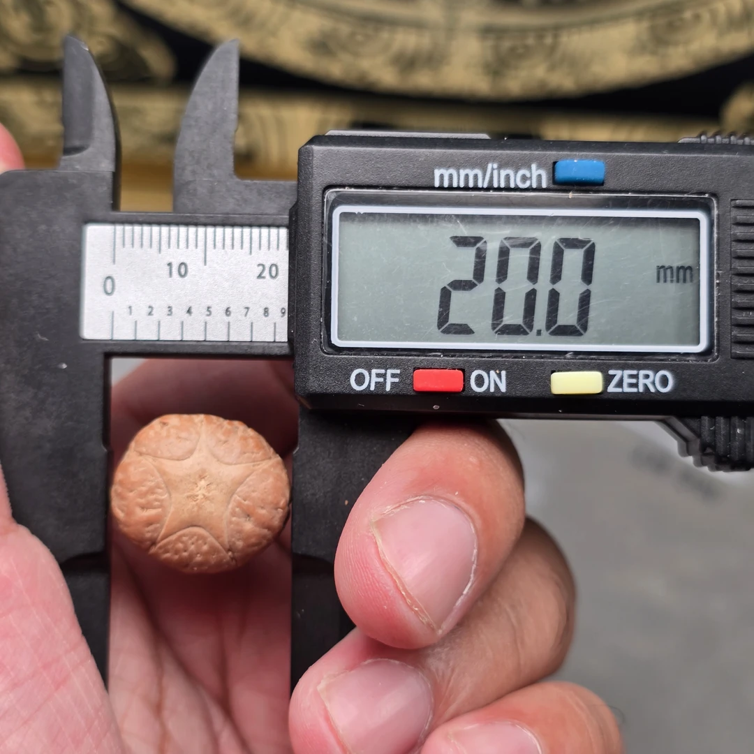 尼泊尔凤眼菩提五星尺寸19.7一物一图