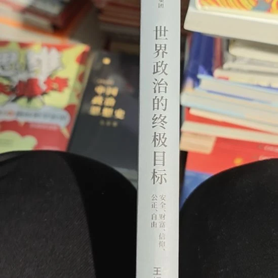 世界的政治的终极目标（务必塑封）没书衣