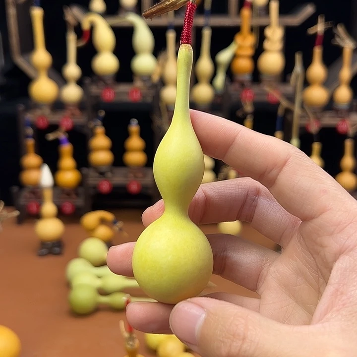 小***觉葫芦笙等乐器的演奏