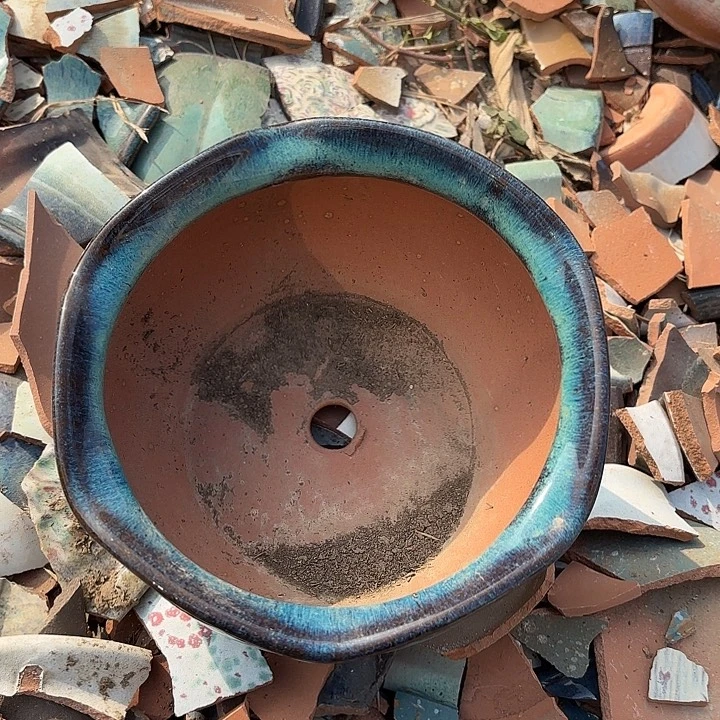 正品紫砂口20高11瑕疵。。。。。。