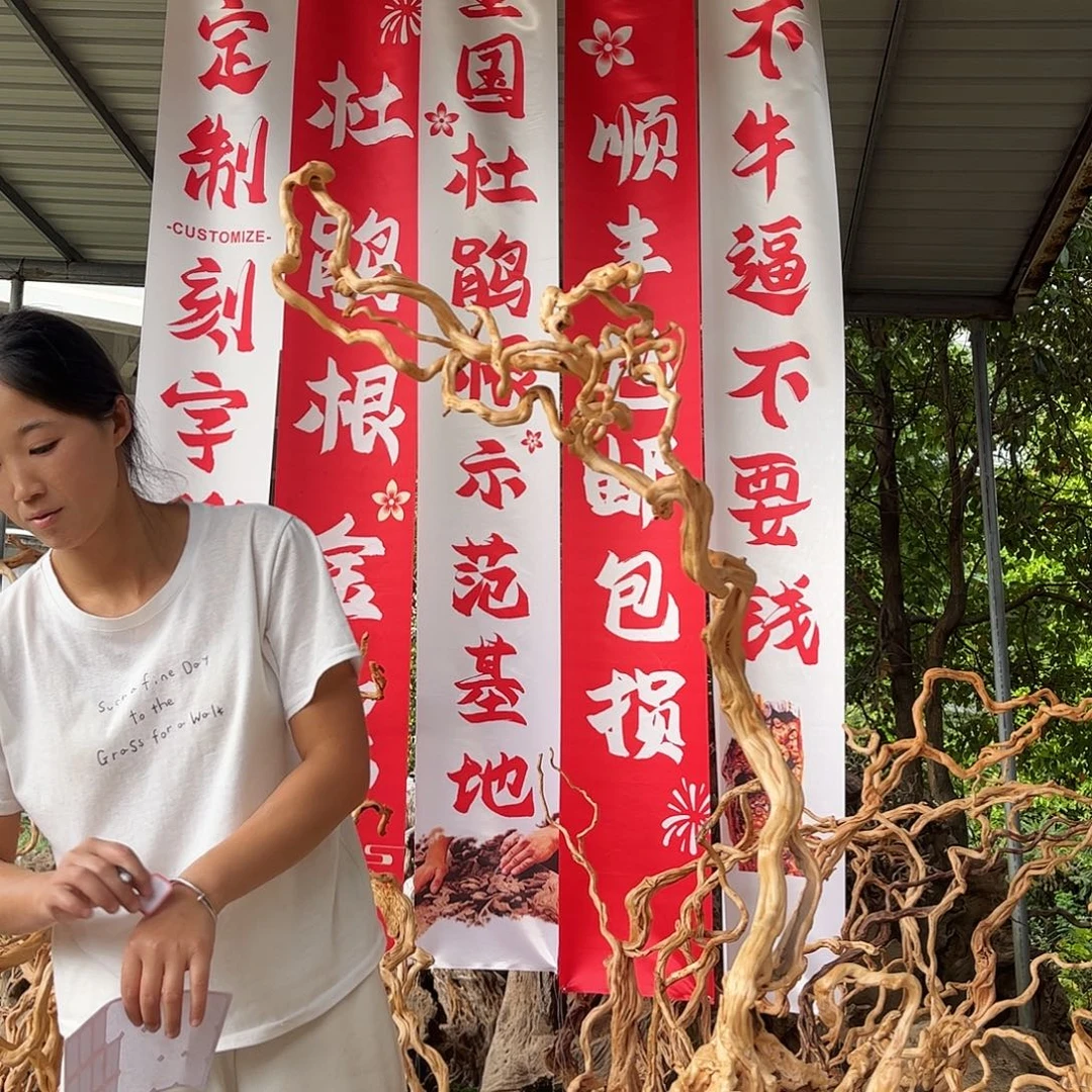 什***生木我们的生活方式是什么