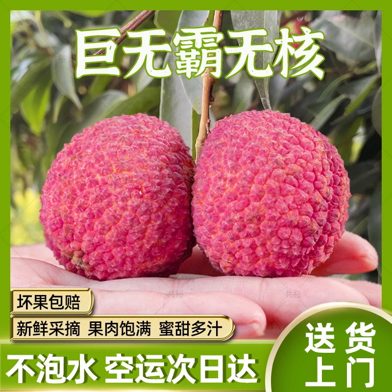 【顺丰次日达】巨无霸无核荔枝6斤高山鲜果单果35g起新鲜现摘净重4.8斤不泡水应季水果整箱包邮海南省