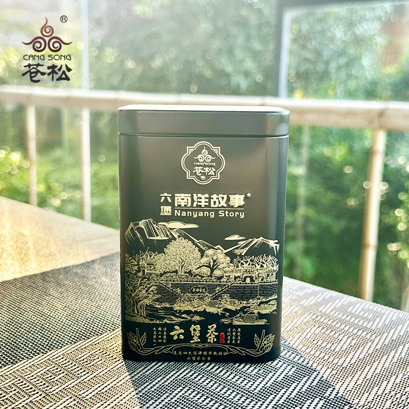 苍松六堡茶 2010槟榔香 广西产地茶叶黑茶六堡茶