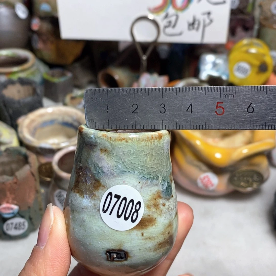 花盆拍5送一个小礼物