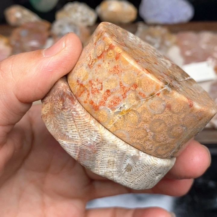 硅化珊瑚（珊瑚玉）手镯未镶嵌