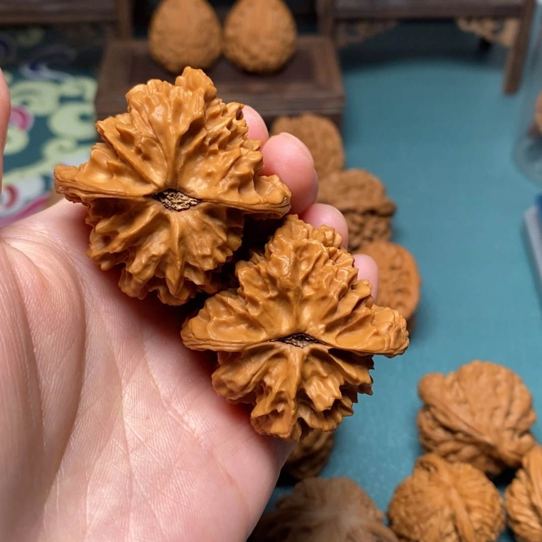 核桃43尺全品大花