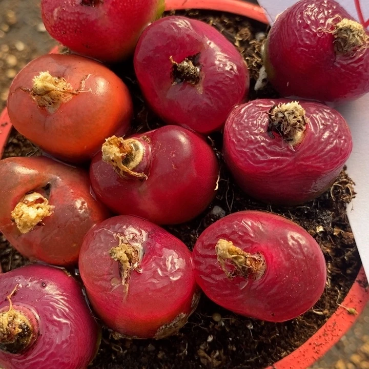 421一组一组一组