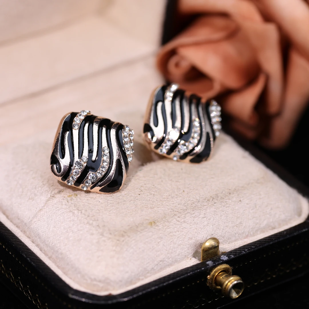 铜合金耳饰 绘海  气质轻奢小众时尚精致百搭高级感耳饰RH8835