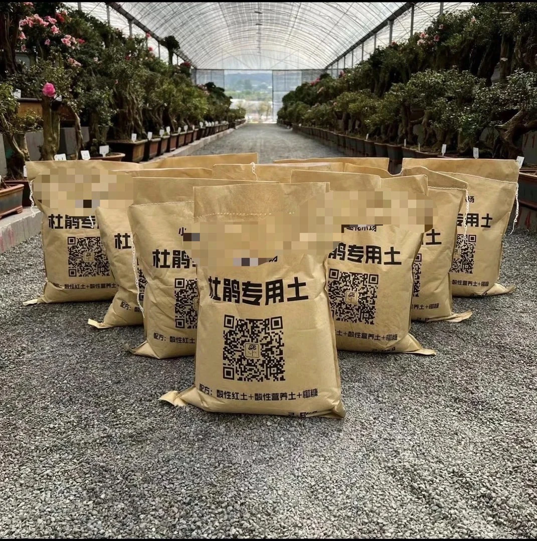 杜鹃花，营养土5斤装